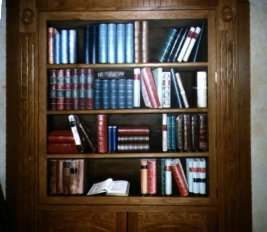bookcase.jpg (17522 bytes)